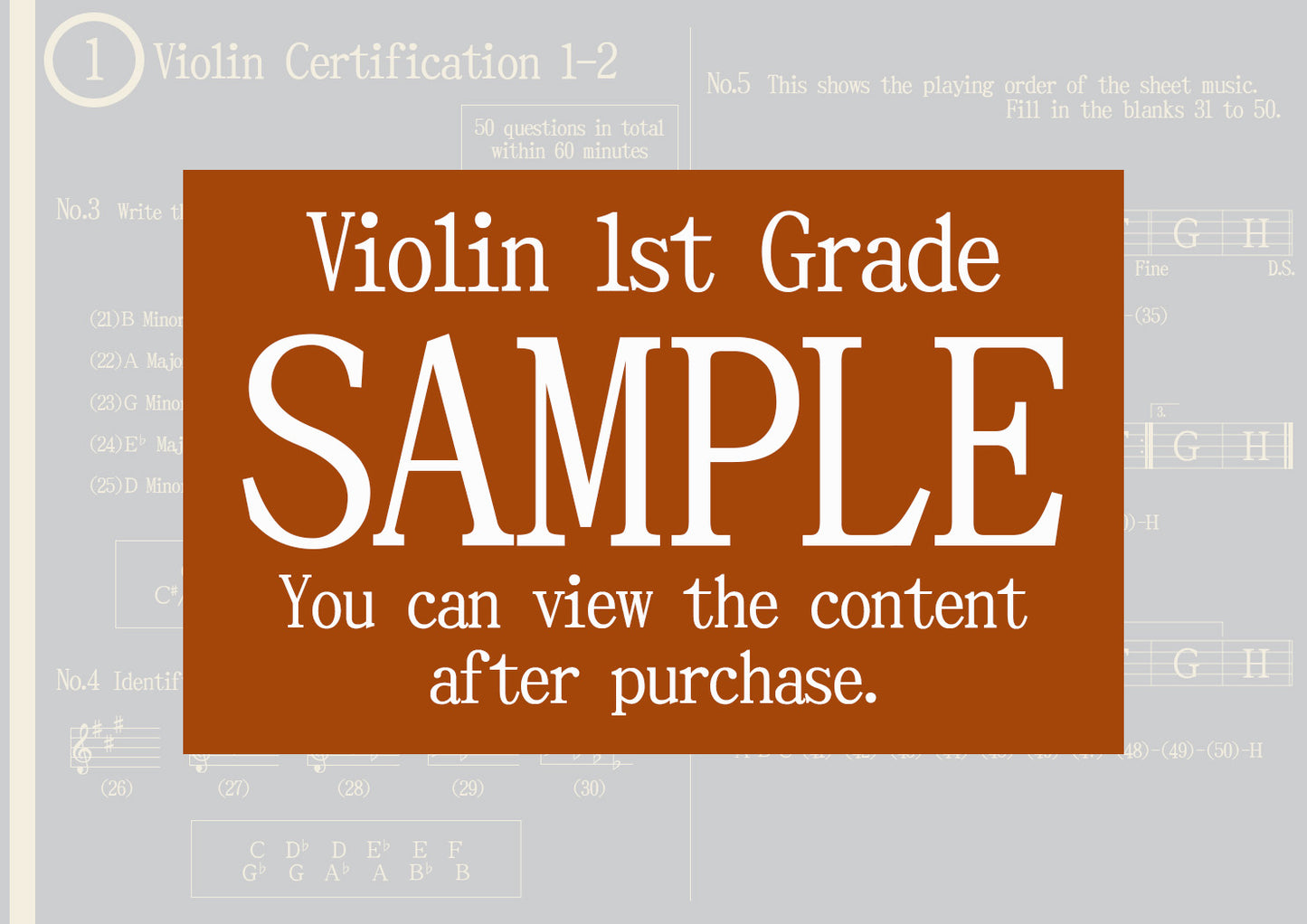 Violin Certification 1st Grade(Expert)