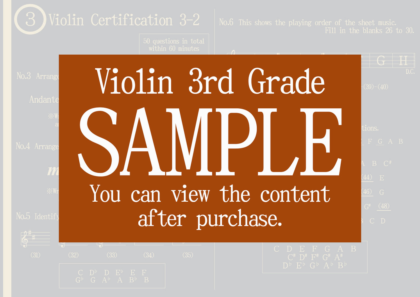 Violin Certification 3rd Grade(Advanced)