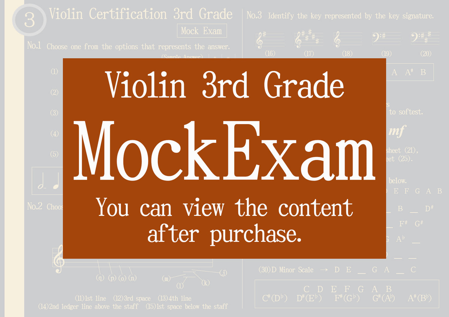 Violin Certification Mock Exam 3rd Grade