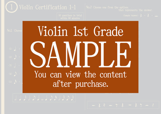 Violin Certification 1st Grade(Expert)